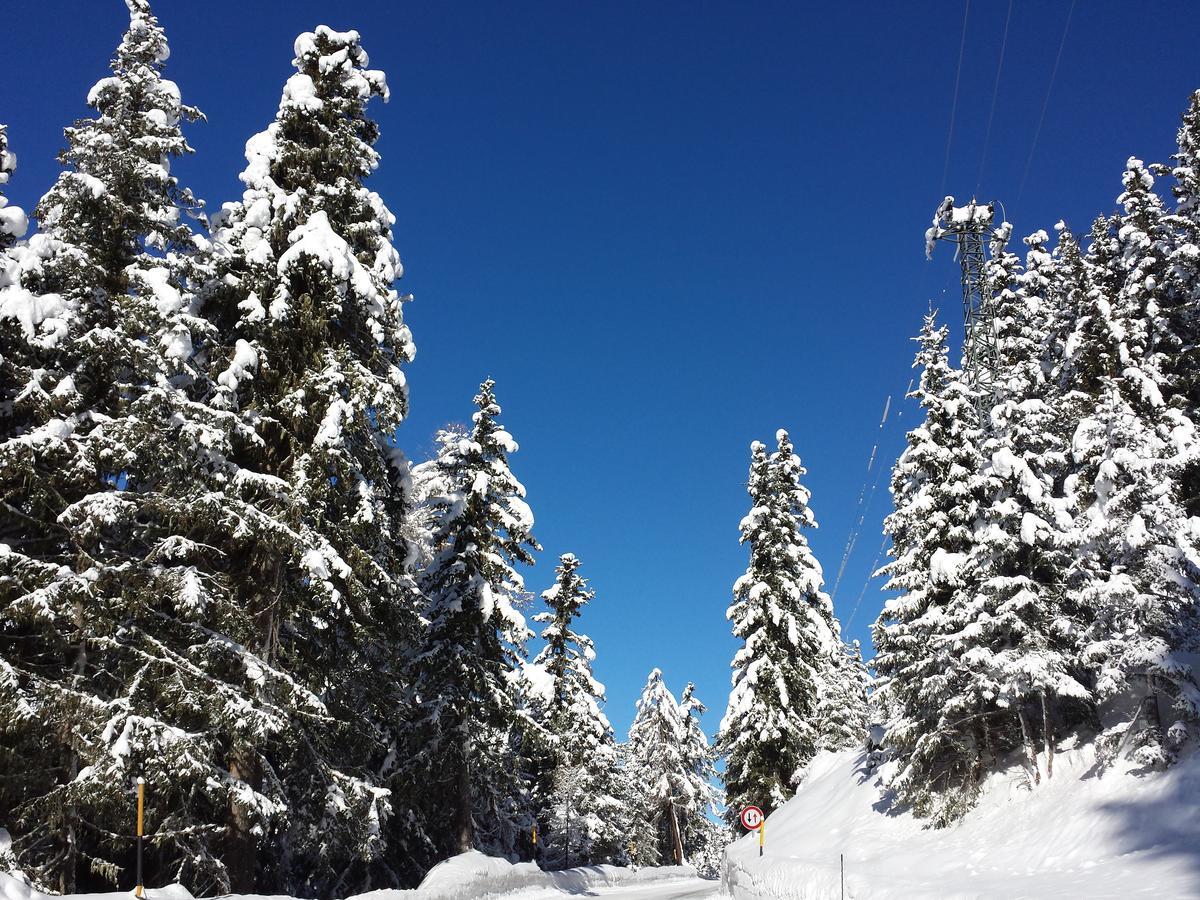 Gasthof Waldruhe Solda Bagian luar foto