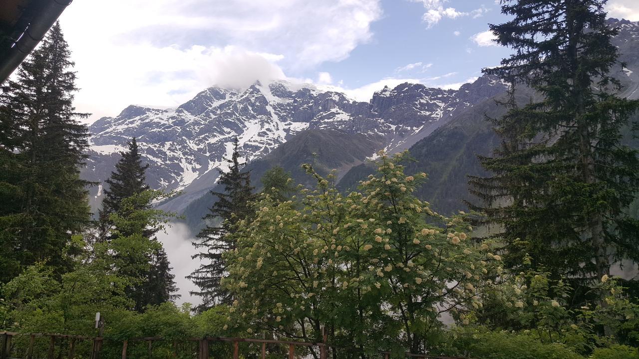 Gasthof Waldruhe Solda Bagian luar foto