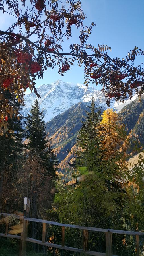 Gasthof Waldruhe Solda Bagian luar foto